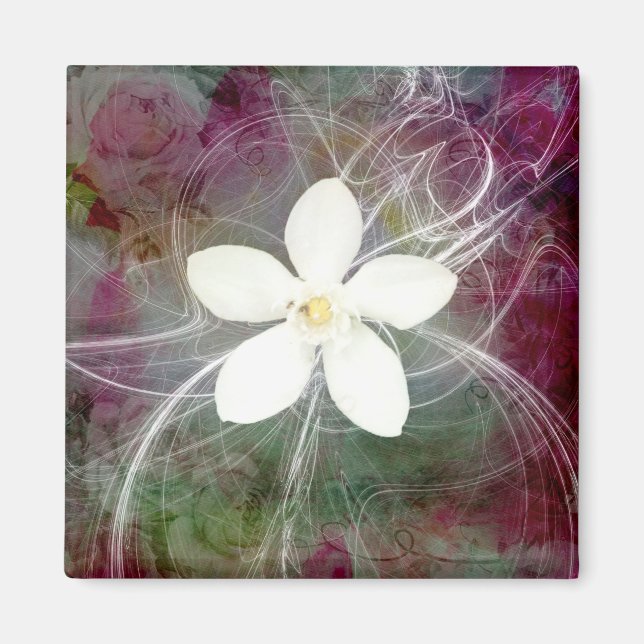 Imã Novo Magnet Quadrado Grande (Frente)