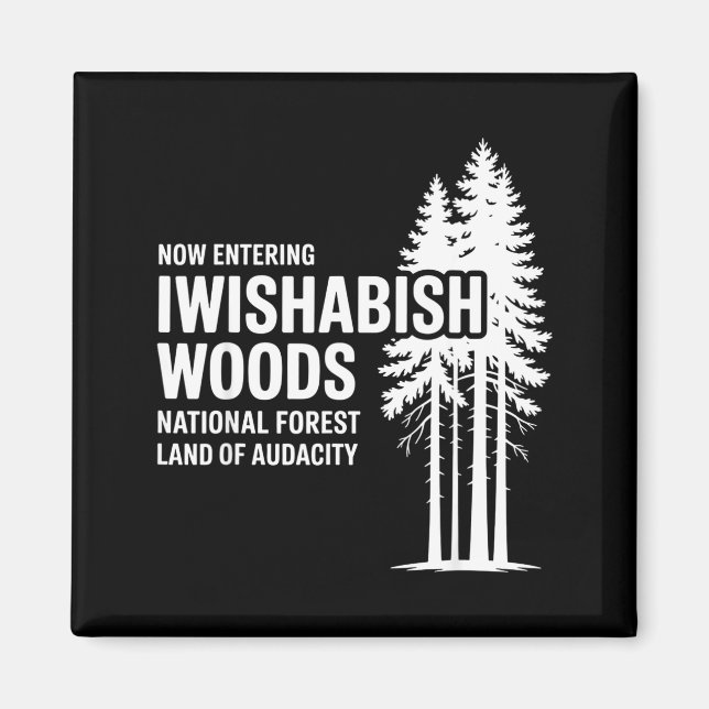 Imã Now Entering I Wishabish Woods National Forest Lan (Frente)