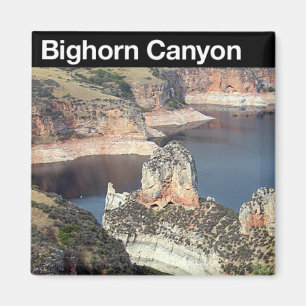Imã NRA da garganta do Bighorn