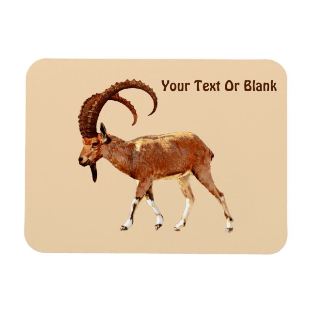 Ímã Nubian Ibex - Ein Gedi (Horizontal)