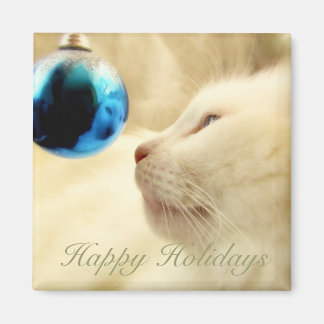 Imã Numa Estrela Azul