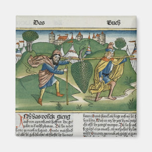 Imã Números 13 23 as uvas de Eschol, 'do Nure