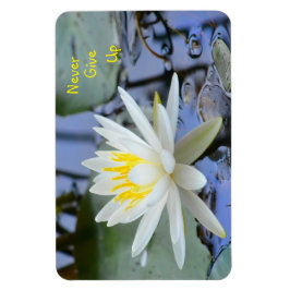 Ímã Nunca Desista De Água Lily