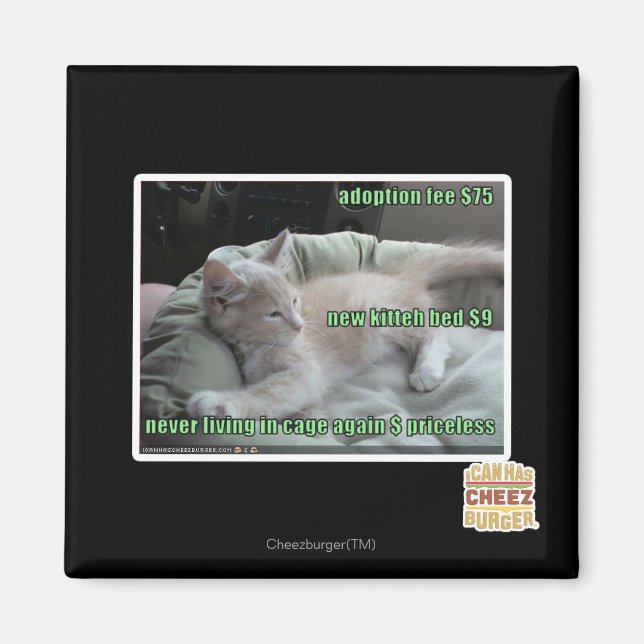 Imã Nunca mais vivendo em uma gaiola (Frente)