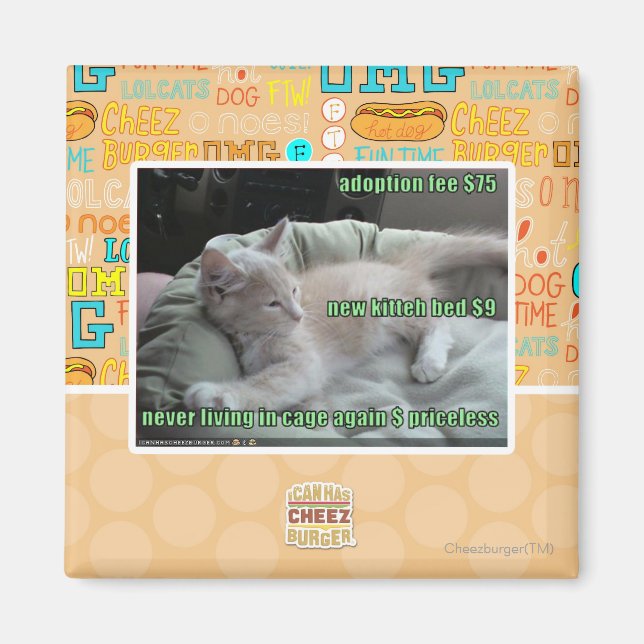 Imã Nunca mais vivendo em uma gaiola (Frente)