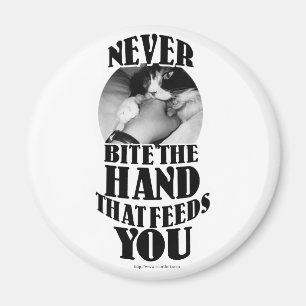 Imã Nunca morda essa mão