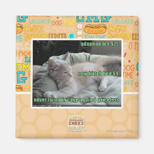 Imã Nunca vivendo em uma gaiola outra vez