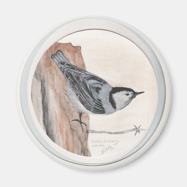 Imã nuthatch bravo (Frente)