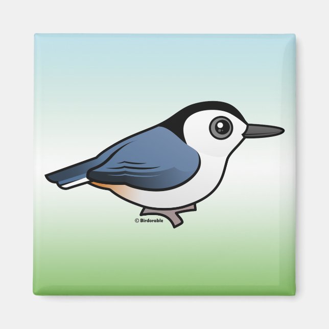 Imã Nuthatch de peito branco (Frente)