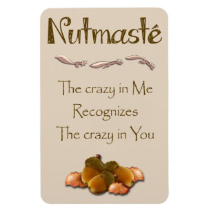Ímã Nutmaste