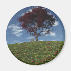 Imã Nuvens navegam por ímã