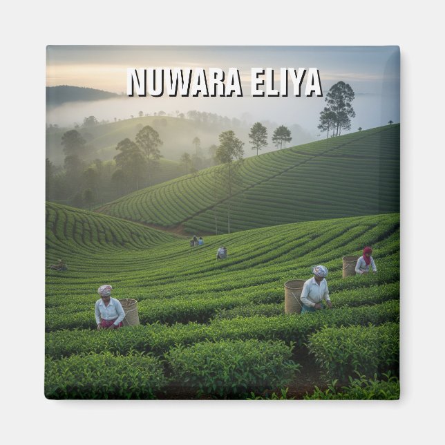 Imã Nuwara Eliya Tea Plantation Sri Lanka (Frente)
