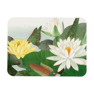 Ímã Nymphaea lotus, xilogravura japonesa, 1917