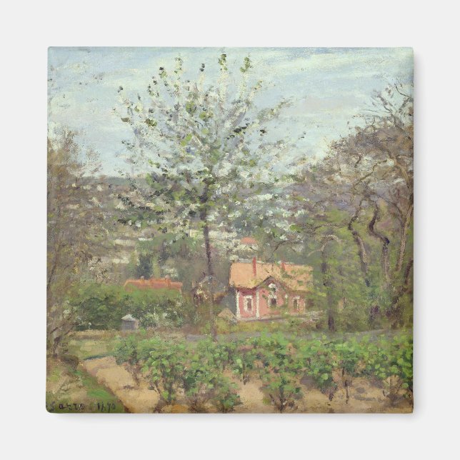 Imã O Algodão, ou a Casa Rosa (Frente)