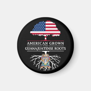 Imã O americano crescido com Guanajuatense enraíza  