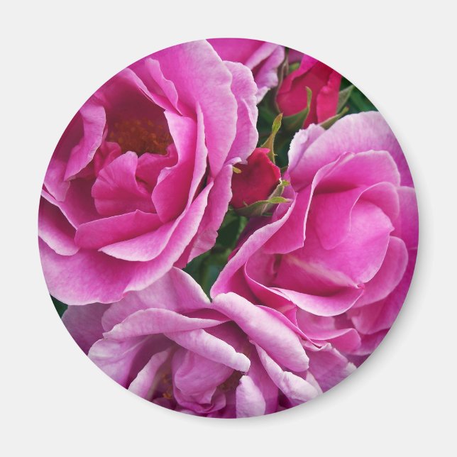 Imã O Amigo Compaixão (Frente)