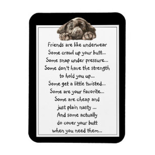 Ímã O amigo do divertimento é como citações do roup