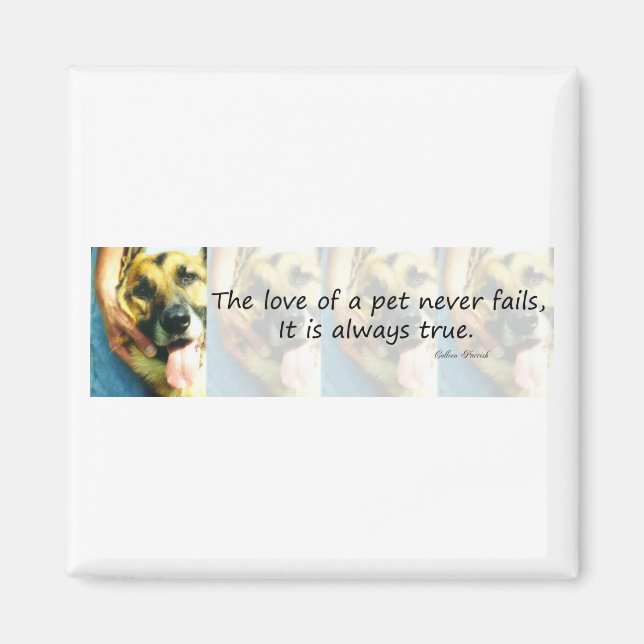 Imã O Amor de um Pet (Frente)