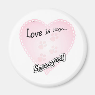 Imã O amor é o meu samoyed - Magnet
