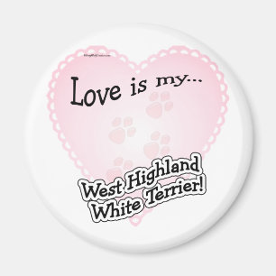 Imã O amor é o meu West Highland White Ter...