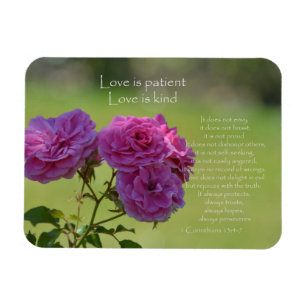 Ímã O amor é rosas pacientes