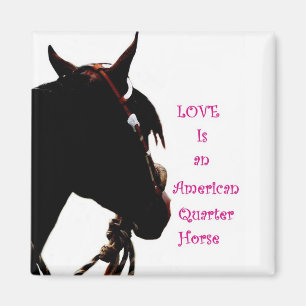 Imã O amor é um ímã de quarto cavalo