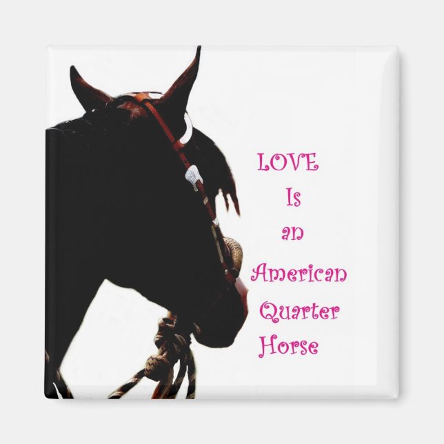 Imã O amor é um ímã de quarto cavalo (Frente)