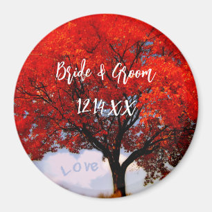 Imã O amor está no ar...