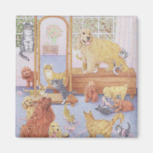 Imã O amor não conhece limites