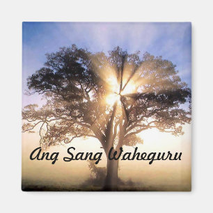 Imã O ANG cantou o ímã de Waheguru