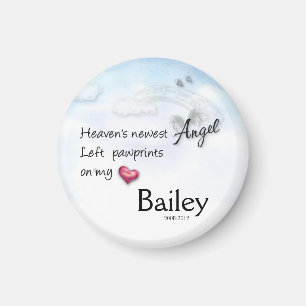 Imã O ângulo o mais novo do céu deixou o ímã do an
