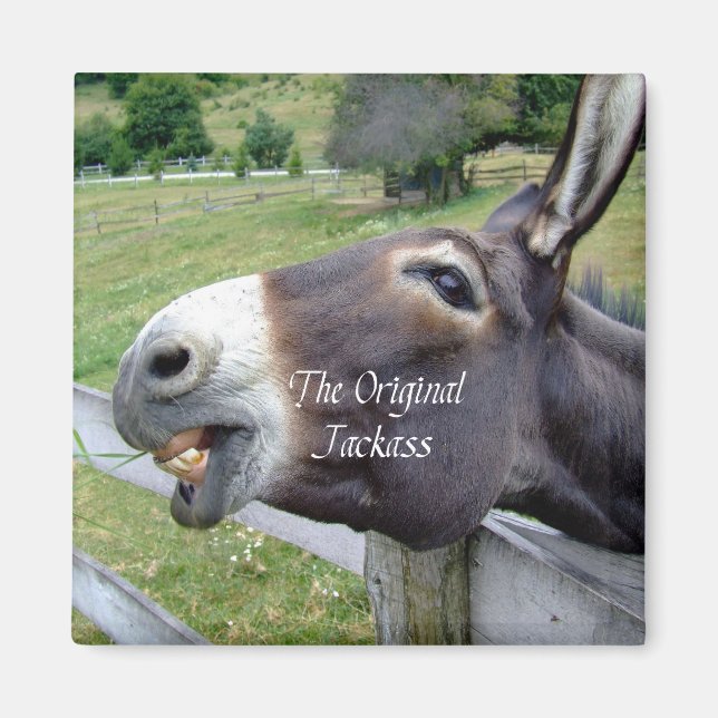 Imã O animal de Fazenda original doido e engraçado (Frente)