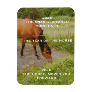 Ímã O ano do Cavalo, 2026
