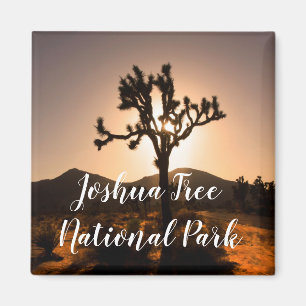 Imã O anoitecer começa no Magnete Joshua Tree