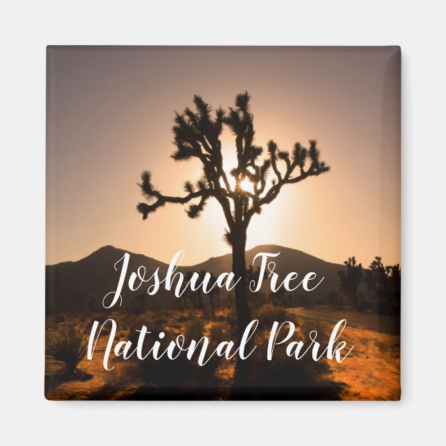 Imã O anoitecer começa no Magnete Joshua Tree (Frente)