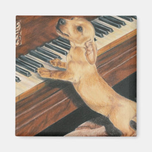 Imã O aprendiz de Mozart