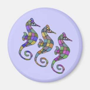 Imã O arco-íris do cavalo marinho