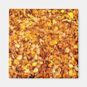 Imã O Autumn Deixa o Magnet Quadrado