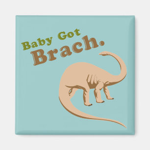 Imã O bebê obteve Brach