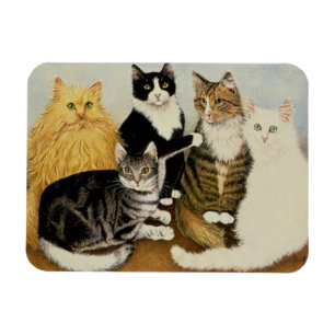 Ímã O berço do gato