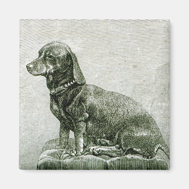 Imã O Cachorro Jacob (Frente)