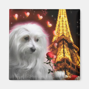 Imã O Cachorro Maltês Eiffel Torre O PARQUE DO AMOR!