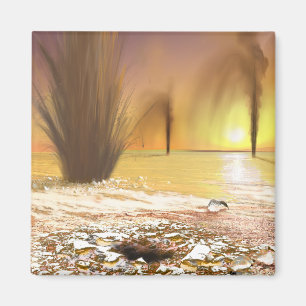 Imã O calote polar polar sul marciano