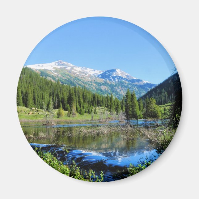 Imã O caminho para a independência (Frente)