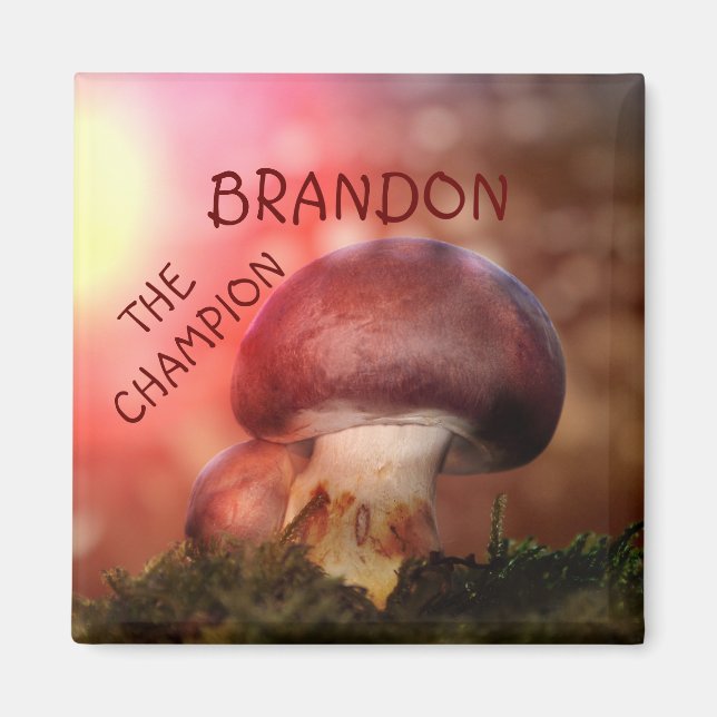 Imã O campion com o champignon (Frente)