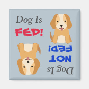 Imã O cão de filhote de cachorro é Fed/não ímã de