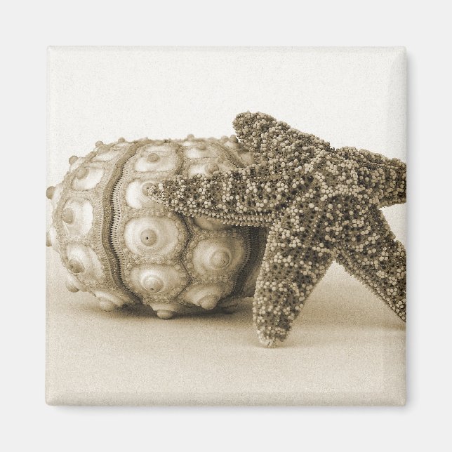 Imã O Casal Odd (Frente)