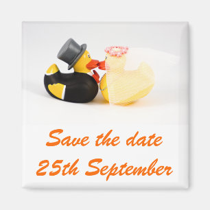 Imã O casamento ducks… o ímã