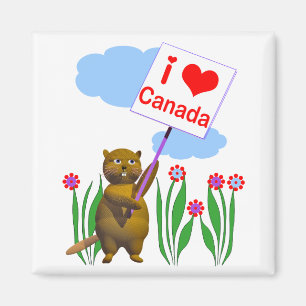 Imã O castor canadense ama o Canadá