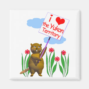 Imã O castor canadense ama o Yukon